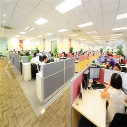 深圳海邦國際物流供應鏈有限責任公司