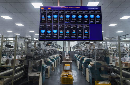 浙江諸暨 積極推進 國際襪都 襪業產業高質量發展